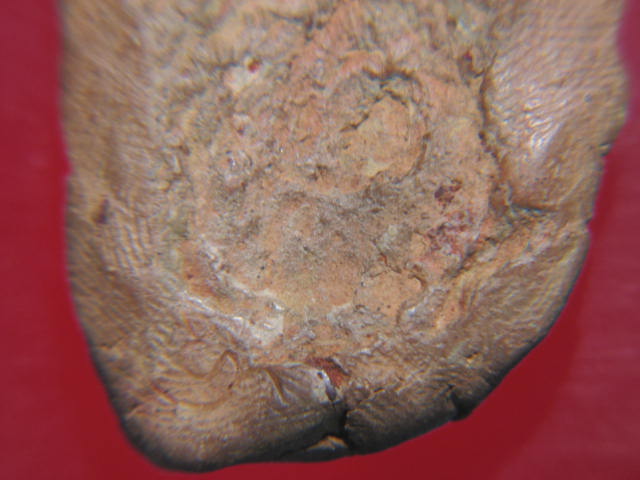 สอบถามพี่ๆหน่อยค่ะ...สมเด็จเนื้อดินหลังจาร..เป็นของหลวงพ่อใดค๊ะ....