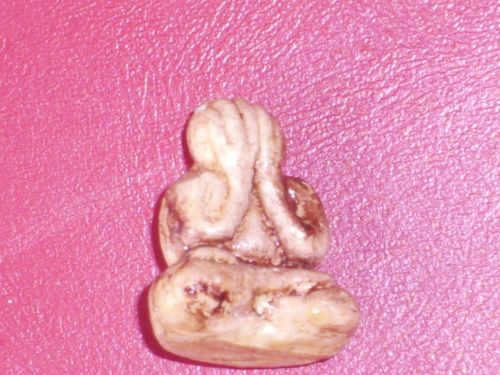 ชี้แจงรายละเอียดหน่อยครับ