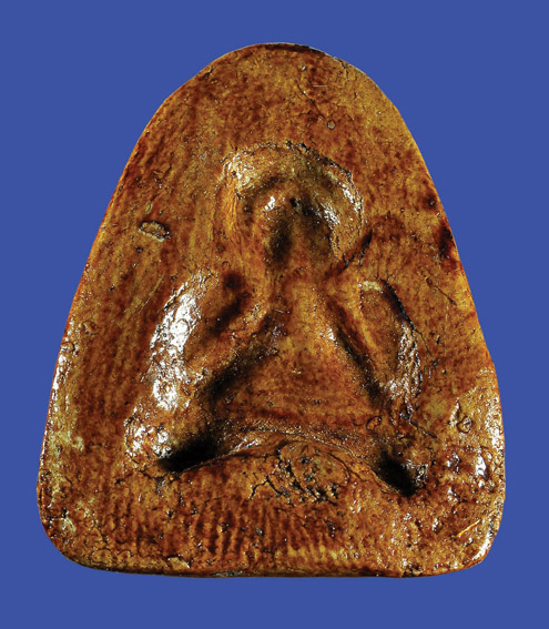 มีปิดตามาถามครับ