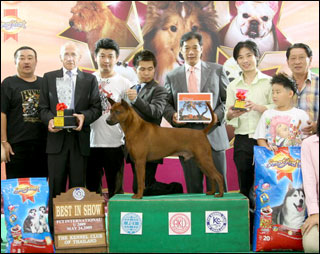 สำหรับท่านที่ชชอบสุนัข งานนี้ไม่ควรพลาด....ไทยแลนด์ด๊อกโชว์ ที่เมืองทองธานี ปลายเดือนนี้ ( มิย. )
