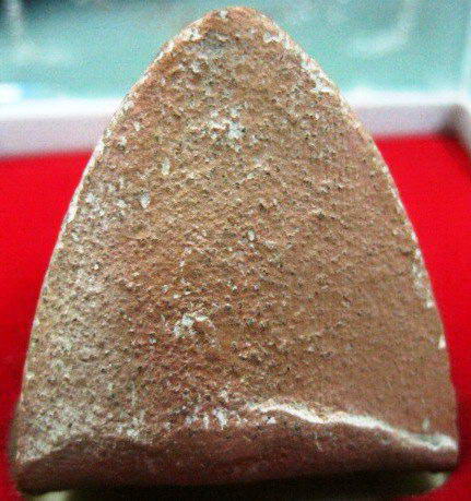 หลวงพ่อโต บางกระทิง