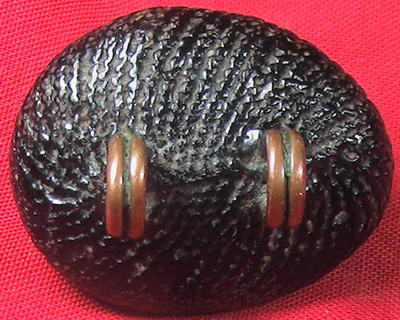 เบี้ยแก้หลวงปู่เพิ่มครับ