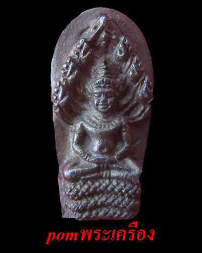 ปรกมะขามไม่ทราบที่ ขอคำชี้แนะด้วยครับ