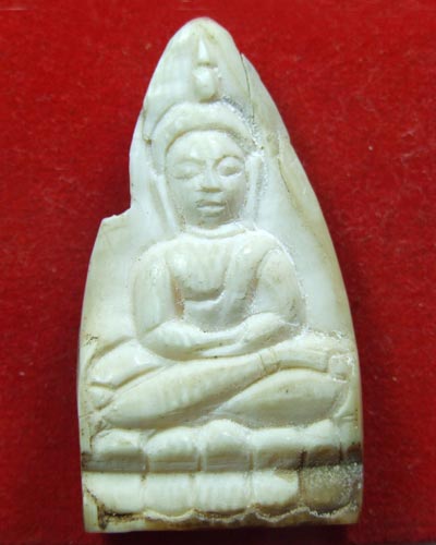 งาแกะที่ไหนครับจารเต็ม