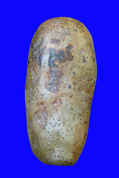 สอบถามก่อนลงขาย