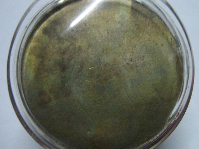 เหรียญหลังเรียบหลวงพ่อลออ