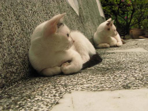 ขอโชว์บ้างครับ ^^