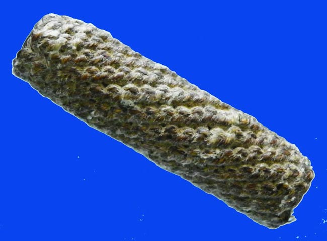 ตะกรุดหลวงพ่อทบ