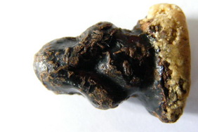 ปิดตาเกจิไหนคับ