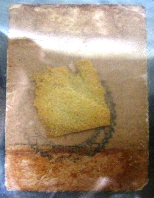 รูปถ่ายเล็ก หลวงพ่อโอภาสี