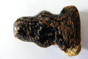 พระปิดตาหลวงปู่กลิ่นหรือเอี่ยม แท้ป่าวคับ