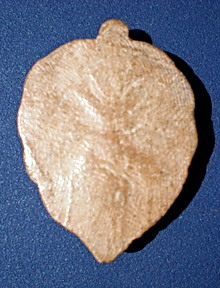 รบกวนสายหลวงพ่อลีครับ