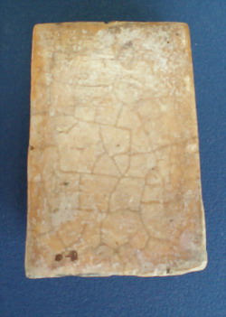 เกศไชโย  เเท้ไหมครับ