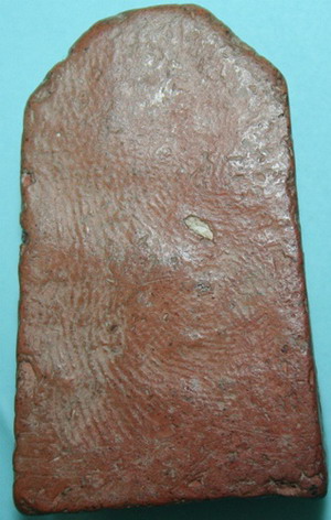 ซุ้มกอหลวงพ่อโหน่งดีหรือเปล่าครับ.