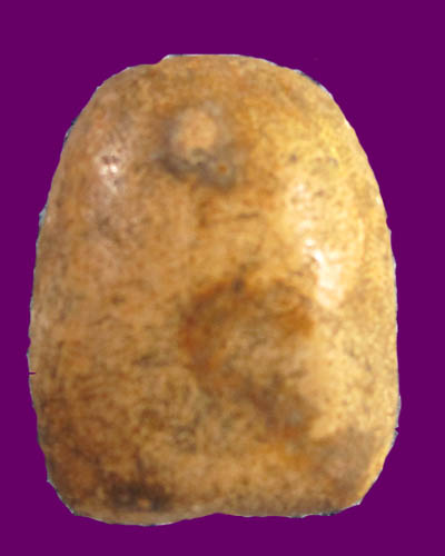 พระปิลันท์ครับ