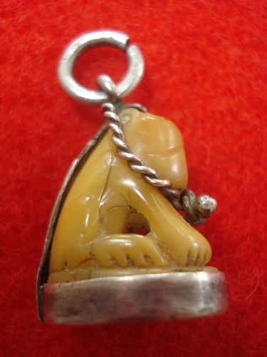 สอบถาม เสือหน้าสุนัข ไม่ทราบที่