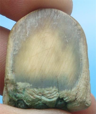 ช่วยดูทีครับ