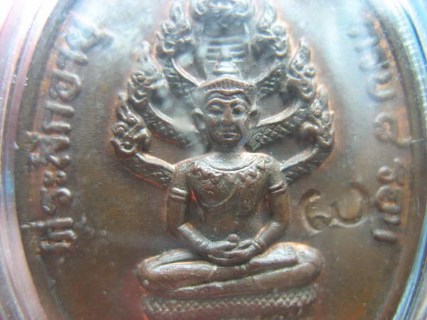 [Auto] พุทธาคุณคุ้มเกล้า - เหรียญนาคปรก รุ่น 8 รอบหลวงปู่ทิม