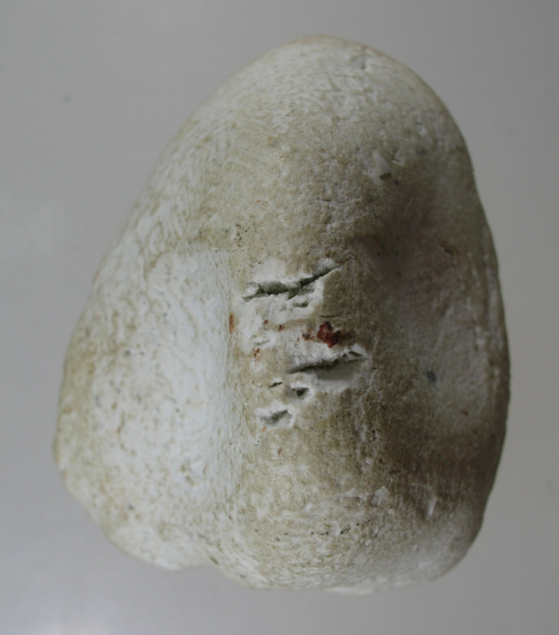 รบกวนสอบถามครับ