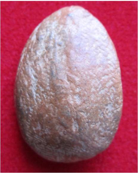 นางกวักเนื้อดิน 