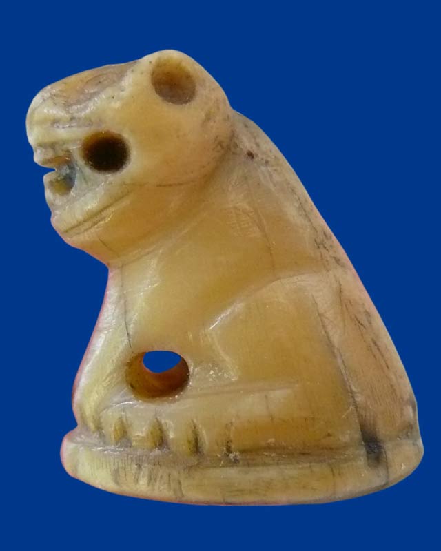 มีเสือมาให้แลก เนื้อฉ่ำๆ  ชอบก็เชิญ