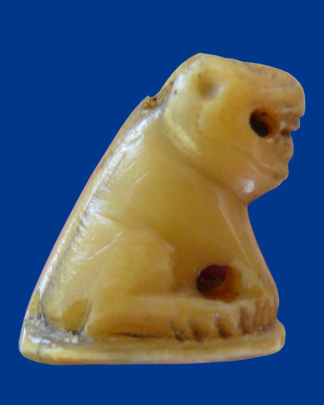 มีเสือมาให้แลก เนื้อฉ่ำๆ  ชอบก็เชิญ