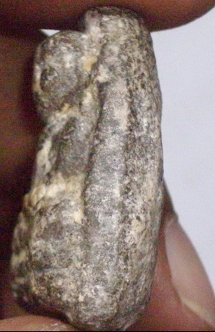 รบกวนผู้รู้ทั้งหลายช่วยดูหลวงปู่ทวด เนื้อว่านเก่า มีจุดที่ไหล่