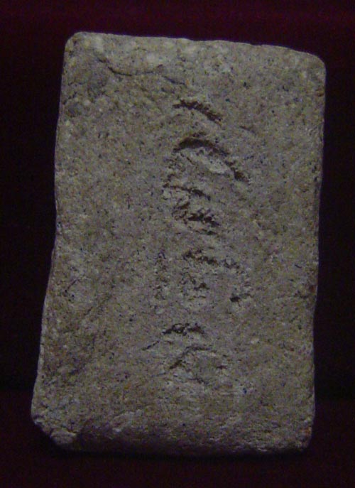 พระสมเด็จน่าจะเป็นเนื้อว่าน ด้านหลังจารย์เปียกครับ