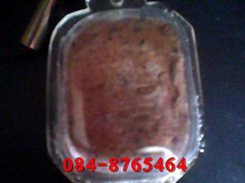 หลวงพ่อปาน พิมพ์ครุฑใหญ่