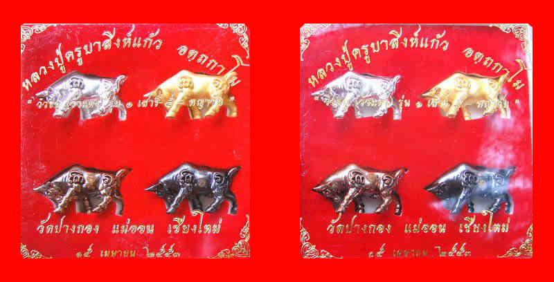 วัวธนู(วัวแดง) รุ่นแรก ครูบาสิงห์แก้ว วัดปางกอง จ.เชียงใหม่