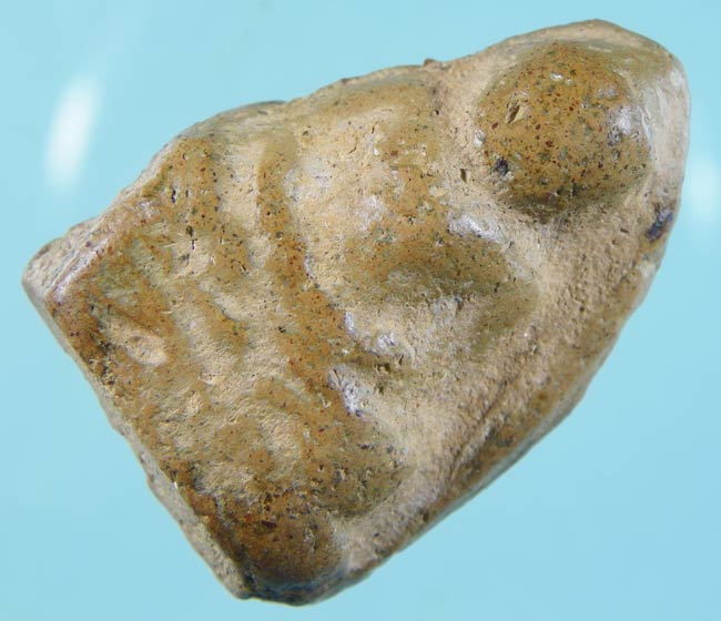 ใช่หลวงพ่อโหน่งมั๊ยครับ