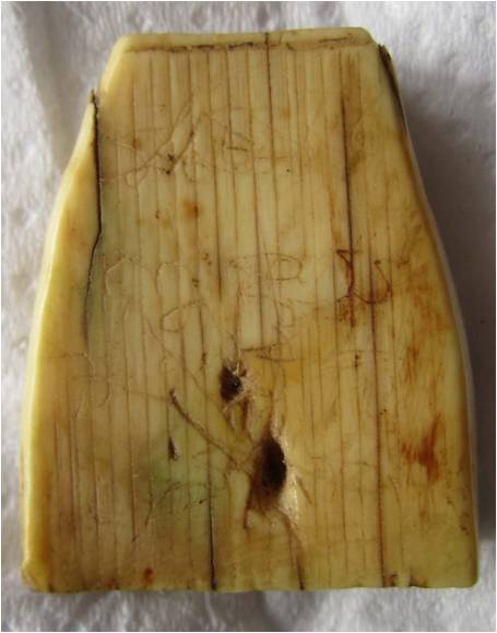 งาแกะไม่ทราบที่ครับ