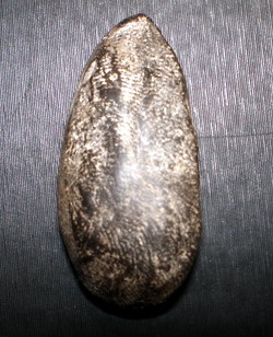 เรียกว่าพระพิมพ์ไหนครับ