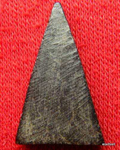 นางพญาเนื้อไม้สีดำ