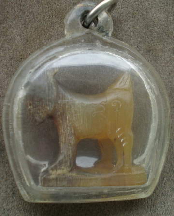 แพะเขาความเผือก 