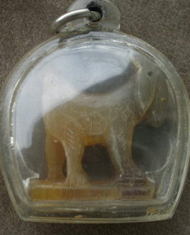 แพะเขาความเผือก 