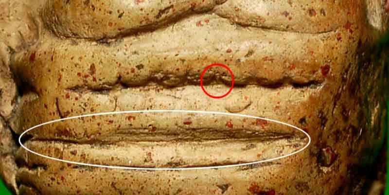 พระคง ลำพูนกรุเก่า