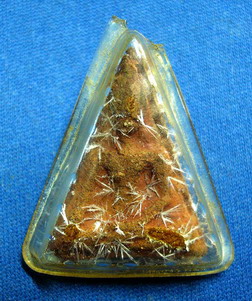 รบกวนถามครับอยากทราบรุ่นและราคา