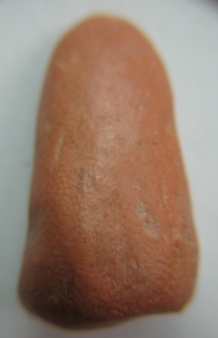 พระรอดครับ