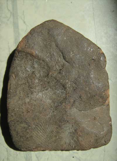 พระนั้งช้าง