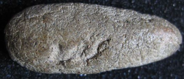 รบกวนดูพระเนื้อลีลาเนื้อผง