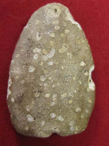 พระเนื้อผงหลวงพ่อพริ้ง วัดบางปะกอก กทม. พิมพ์นาคปรกใหญ่