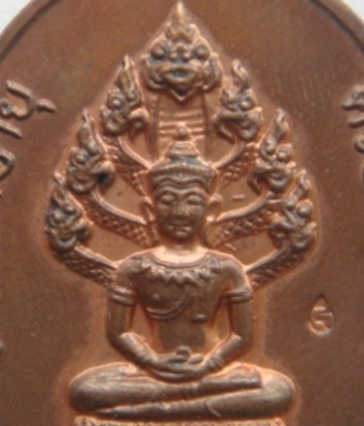 เหรียญ 8 รอบ หลวงปู่ทิม วัดระหารไร่ครับช่วยหน่อย