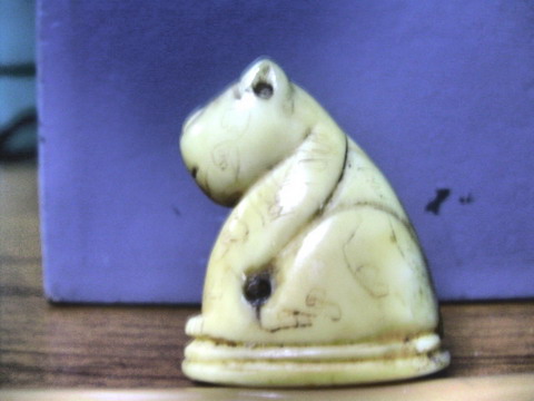 เสือตัวนี้จากสำนักไหนครับ