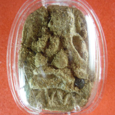 พระปิดตาผงพุทธคุณไม่รู้ที่ครับ