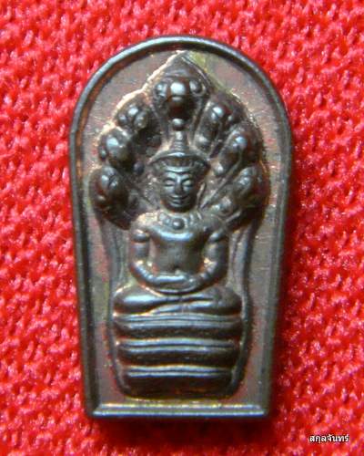 ปรกจ้อยหลวงปู่เรือง