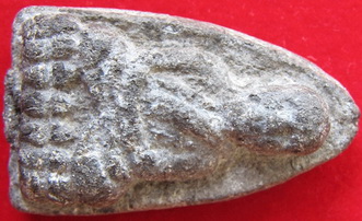 เหรียญทรงผนวชปี08เหรียญนี้ขอคะแนนแบบดันดารา 