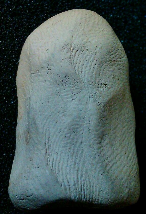 พระคง ลำพูน  รบกวนพี่ๆด้วยนะครับ