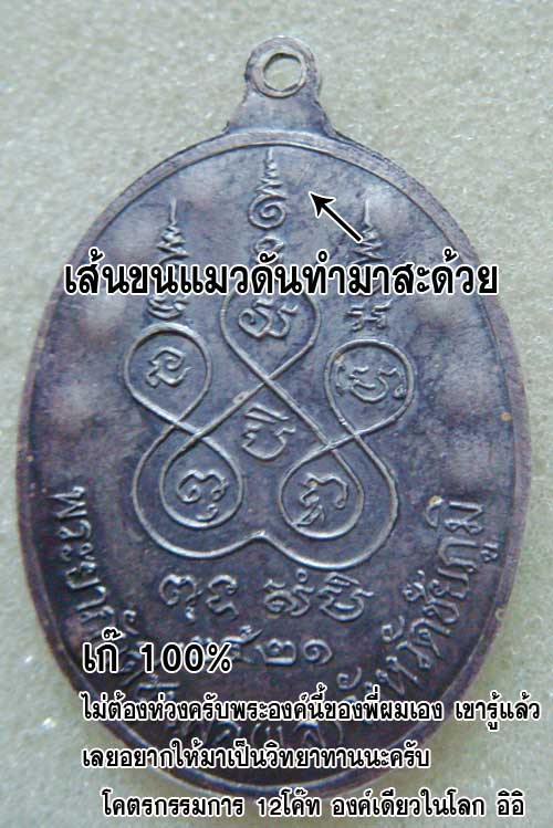 เจ้าพ่อพญาแล ปี21 มาแล้ว