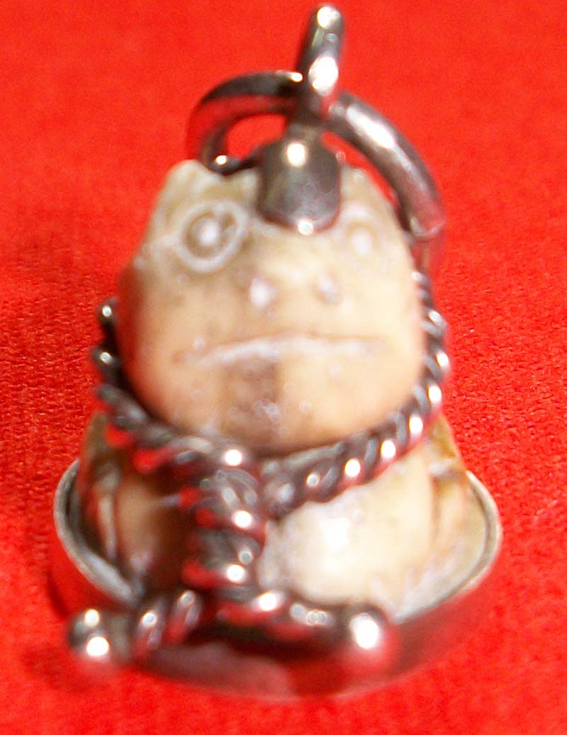 ดูเสือให้หน่อยครับ แท้มะครับของที่ไหน